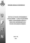 Imagem de Miniatura