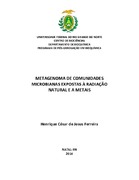 Imagem de Miniatura