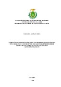 Imagem de Miniatura