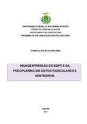 Imagem de Miniatura
