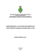 Imagem de Miniatura