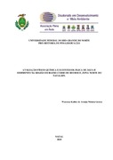 Imagem de Miniatura