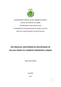 Imagem de Miniatura