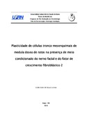Imagem de Miniatura