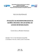 Imagem de Miniatura